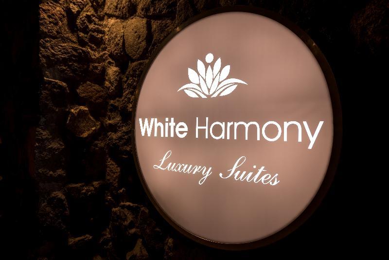 White Harmony Suites Megalochori (Santorini) Exterior foto